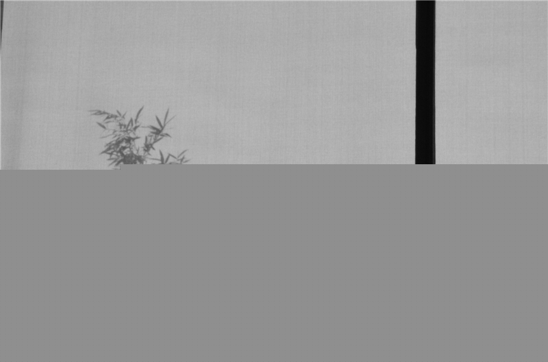 1433993175372741.jpg 1433993175372741.jpg